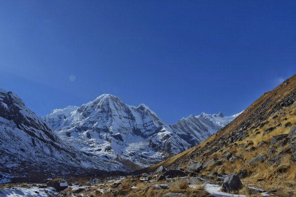 Lush Greenery Along the Annapurna Circuit